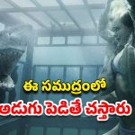 OTT Movie : స్వర్గం చూపిస్తానని చెప్పి అమ్మాయిలతో ఇదేం పని ? యానిమల్స్ కన్నా డేంజర్ ఈ సైకో… ఇంటెన్స్ క్రైమ్ థ్రిల్లర్