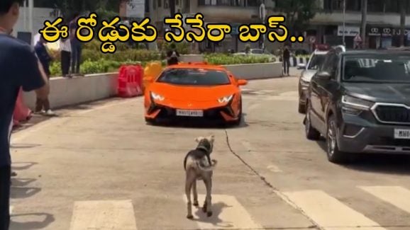 Dog Viral Video: లంబోర్గిని కారు డ్రైవర్‌కు చుచ్చు పోయించిన వీధి కుక్క.. వీడియో చూస్తే నవ్వు ఆపుకోలేరు..