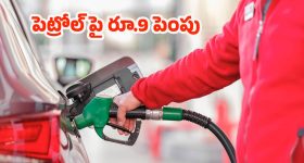 Fuel Price Hike: పెట్రోల్ ధరలు పెంపు.. 22 మంది మృతి