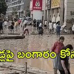 Gold rush in China: చైనా రోడ్లపై జనాలు.. 20 కేజీల బంగారం కోసం వెతుకులాట, అసలు మేటరేంటి?
