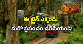 Indian Railways toy train: రైల్వే మరో సృష్టి.. ఫారెస్ట్ క్వీన్ ట్రైన్ వచ్చేసింది.. జర్నీలో అద్భుతాలు చూసేయండి!
