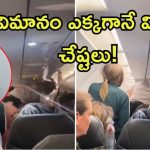 Indian American: విమానంలో అతడికి దెయ్యం పట్టిందా? భారతీయుడిని చితకబాదిన తోటి ప్రయాణీకుడు.. ఏమైంది?