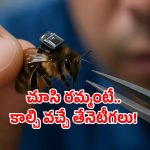 Lightest brain chip: తేనెటీగలకు బ్రెయిన్ చిప్.. ఎలా చెప్తే అలా వింటాయట!