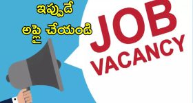 DSSSB Recruitment 2025: నెలకు రూ.1,51,100 వరకు వేతనం.. 2,119 ఉద్యోగ ఖాళీలు