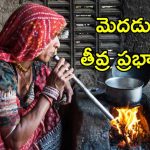 Wood Burning Stove Women Risk: కట్టెల పొయ్యితో వాయు కాలుష్యం.. మహిళకు ఈ ఆరోెగ్య సమస్యలు