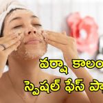Monsoon Face Packs: వర్షాకాలంలో చర్మ ఆరోగ్యం కోసం ఫేస్ ప్యాక్స్.. ఇంట్లోనే తక్కువ ఖర్చుతో తయారు