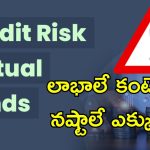 Mutual Funds Warning: మ్యూచువల్ ఫండ్స్‌లో లాభాలొస్తాయని గ్యారంటీ లేదు.. నిపుణుల వార్నింగ్