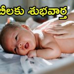 New Child Scheme 2025: కొత్త చైల్డ్ పాలసీ, మూడో బిడ్డను కంటే రూ.12 లక్షలు, ఎక్కడ ఏంటి?