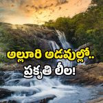 New waterfall in AP: అల్లూరి జిల్లాలో అద్భుతం..  వెలుగులోకి వచ్చిన జలపాతం!