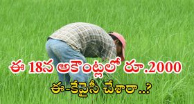 PM Kisan: పీఎం కిసాన్ రూ.2వేలు మీ అకౌంట్లో పడాలంటే.. వెంటనే ఇలా చేయండి
