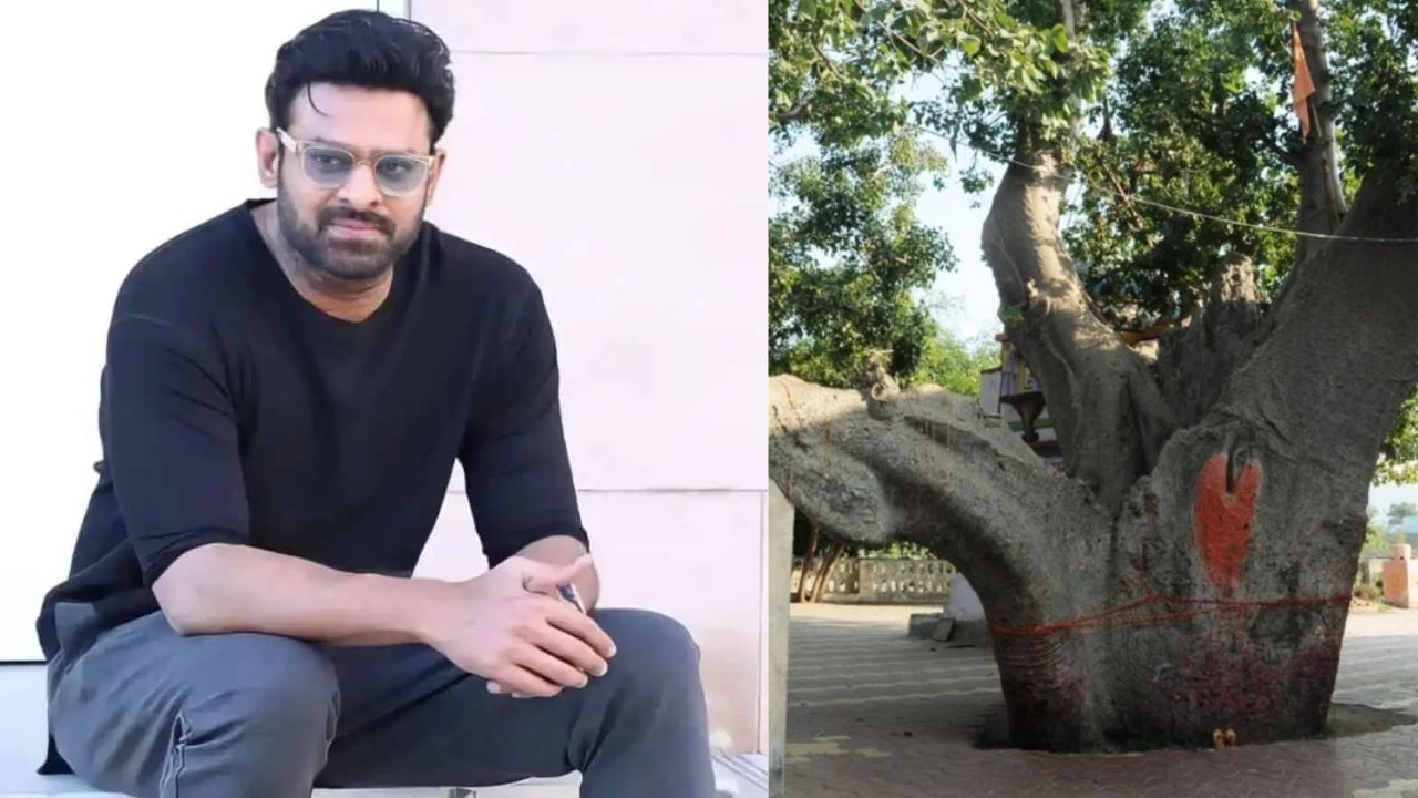 Prabhas: ప్రభాస్ ఇంట్లో స్పెషల్ చెట్టు.. దాని ప్రత్యేకత ఏంటో తెలుసా.?