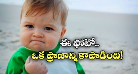 Internet Viral Meme: ఈ వైరల్ ఫొటోలో ఉన్న పిల్లాడు.. ఇప్పుడు ఎలా ఉన్నాడో తెలుసా? చూస్తే షాకవుతారు!