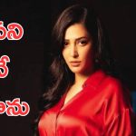Shruti Haasan : తమిళ్ లో నన్ను ట్రోల్ చేశారు… అప్పుడు ఆ డైరెక్టరే నన్ను మార్చారు