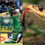 Sri Lanka Vs Bangladesh, Snake: శ్రీలంక, బంగ్లా మ్యాచ్ లో కలకలం… ప్లేయర్లపైకి దూసుకొచ్చిన పాము !