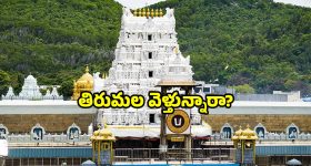 TTD August calendar 2025: తిరుమల యాత్రకు ఇదే బెస్ట్ టైమ్.. ఆగస్ట్ లో ఈ తేదీలు గుర్తుంచుకోండి!