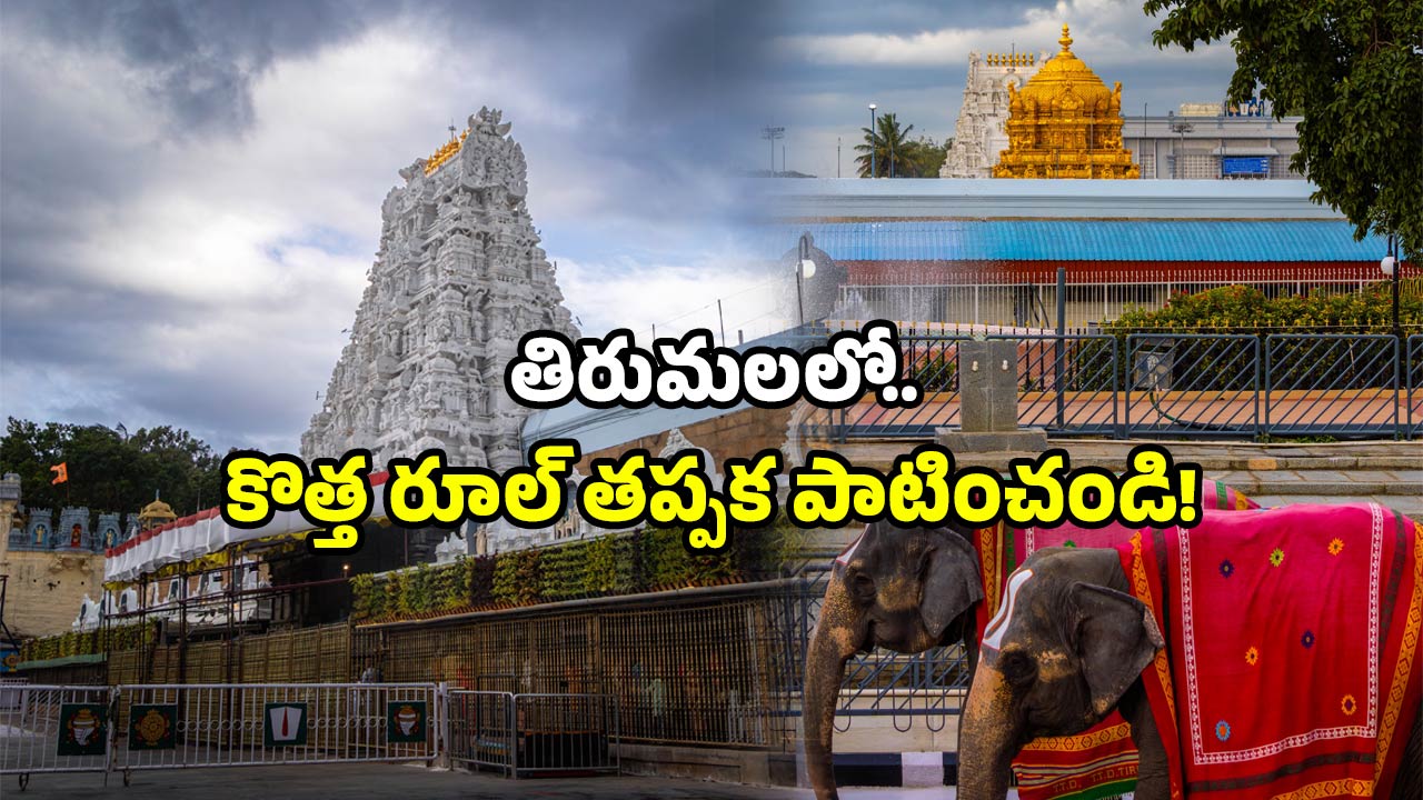 TTD: టీటీడీ బిగ్ వార్నింగ్.. తిరుమలలో ఇలా ప్రవర్తిస్తే.. అక్కడే అరెస్ట్!