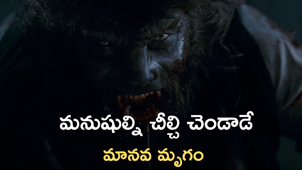 OTT Movie : ఊళ్ళో వరుస హత్యలు… పౌర్ణమి వచ్చిందా గ్రామం వల్లకాడే… ఆస్కార్ విన్నింగ్ హర్రర్ మూవీ