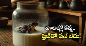 Viral Video: హైదరాబాద్‌లో రోడ్లపై డేంజర్ స్టంట్స్ చేశారు.. చివరకు..! సోషల్ మీడియాలో వీడియో వైరల్