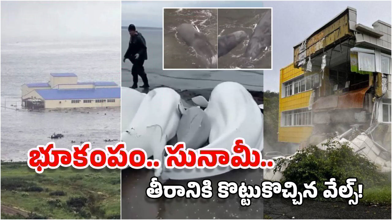 Tsunami Videos: సునామీ ఎలా విరుచుకుపడిందో చూడండి.. రష్యా నుంచి అమెరికా వరకు అల్లకల్లోలం!