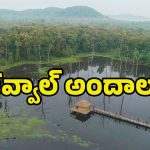 Best Tourist Place: టూర్​ ప్లాన్​ చేస్తున్నారా? తెలంగాణలోని ఈ ప్రాంతాన్ని విజిట్ చేయండి.. మైమరిచిపోతారు..