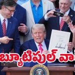 One Big Beautiful Bill: వన్ బిగ్ బ్యూటిఫుల్ బిల్ అంటే ఏమిటి..? భారత్‌కు లాభమా? నష్టమా?
