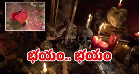 Olive Oil: ఆలివ్ ఆయిల్ ఇలా వాడితే.. మతిపోయే లాభాలు !