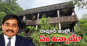 Pooja Hegde : ప్రకృతి ఒడిలో పూజా హెగ్డే.. న్యాచురల్ లుక్ లో స్టిల్స్..