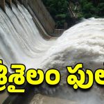 Srisailam Dam Gates Open: శ్రీశైలం ప్రాజెక్టుకు భారీగా వరద నీరు గేట్లు ఎత్తేది ఎప్పుడంటే?