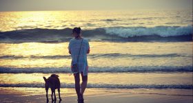 Things in Goa: గోవా వెళ్తున్నారా? పొరపాటున కూడా ఈ పనులు చేయకండి, జైలుకు పోతారు