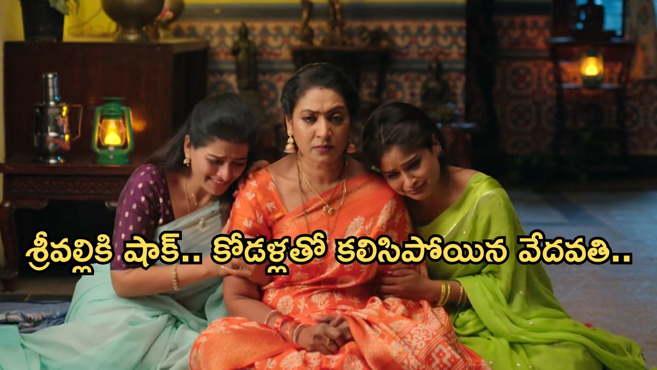 Illu Illalu Pillalu Today Episode: తమ్ముళ్ళకి క్లాస్ పీకిన చందు.. కోడళ్ల కన్నీళ్లకు కరిగిపోయిన వేదవతి…