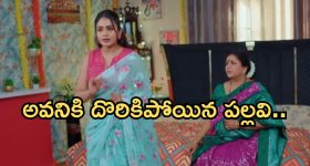 Intinti Ramayanam Today Episode: పార్వతి పై అవనికి అనుమానం.. పల్లవి ప్లాన్ తెలిసిపోతుందా..?