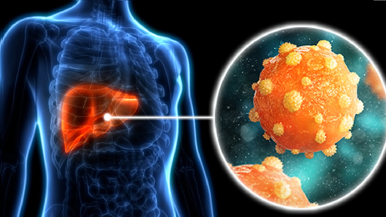Liver Virus: మన కాలేయాన్ని కుళ్లిపోయేలా చేసే ప్రాణాంతక వైరస్ 30 సెకన్లకు ఒకరిని చంపేస్తోంది