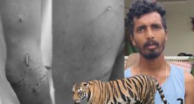 Human Coder Defeat AI: ఏఐపై విజయం సాధించిన మానవుడు.. కోడింగ్ పోటీల్లో కృత్రిమ మేధస్సుని ఎలా ఓడించాడంటే