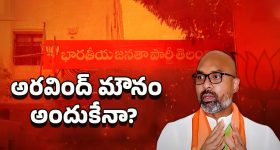 Tamil Dubbed Telugu Movies : తమిళ్ ఫిల్మ్ మేకర్స్‌పై తెలుగు ఆడియన్స్ ఫైర్.. ఒరిజినాలిటీని చంపేస్తున్నారు