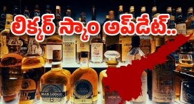 AP Liquor Scam: వరుస అరెస్టులు.. ఏపీ లిక్కర్ స్కాంలో వెలుగులోకి వస్తున్న సంచలన నిజాలు..
