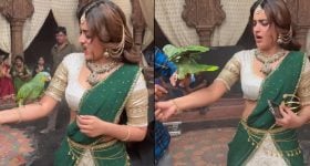 Nidhhi Agerwal: హరి హర వీరమల్లు సెట్ లో చిలుకతో ఆటలు.. చేయి కోరకడంతో విలవిల్లాడిన నిధి..