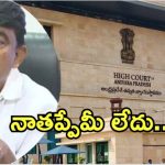 Ysrcp: వివాదాస్పద వ్యాఖ్యలు.. న్యాయస్థానానికి పేర్నినాని