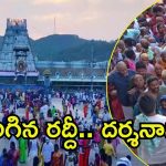 Tirumala News: తొలి ఏకాదశి సందర్భంగా తిరుమలలో పెరిగిన భక్తుల రద్దీ