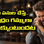 Shani Effect: తెలిసో తెలియకో ఆ పనులు చేశారంటే – దరిద్ర దేవత మీ నెత్తిన తాండవం చేస్తుందట