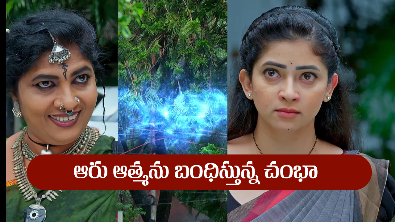 Nindu Noorella Saavasam Serial Today August 2nd : ‘నిండు నూరేళ్ల సావాసం’ సీరియల్‌:  ప్రమాదంలో ఆరు ఆత్మ