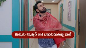 Brahmamudi Serial Today August 11th: ‘బ్రహ్మముడి’ సీరియల్‌: కావ్యను ఫాలో చేసిన రాజ్‌ – క్యాన్సర్‌ డాక్టర్‌ దగ్గరకు వెళ్లిన కావ్య