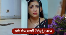 Nindu Noorella Saavasam Serial Today August 5th : ‘నిండు నూరేళ్ల సావాసం’ సీరియల్‌: అమర్‌ ఇంటికి కాలాను పంపిన చంభా   