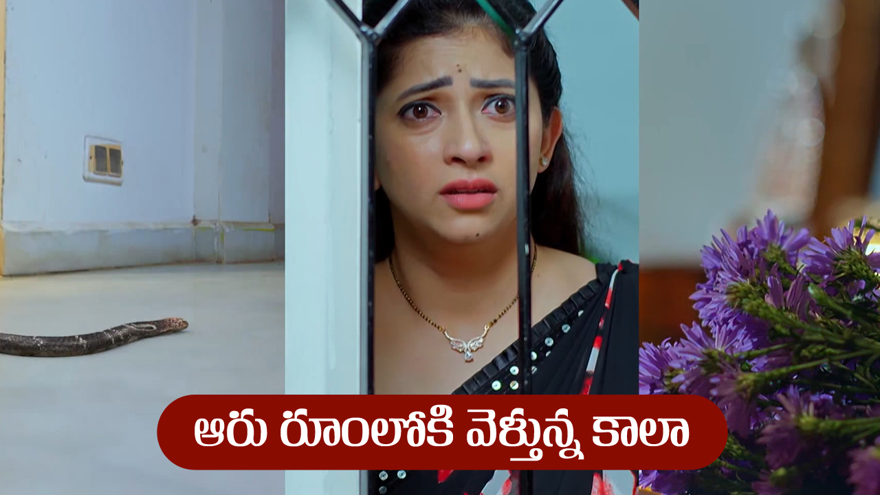 Nindu Noorella Saavasam Serial Today August 5th : ‘నిండు నూరేళ్ల సావాసం’ సీరియల్‌: అమర్‌ ఇంటికి కాలాను పంపిన చంభా   