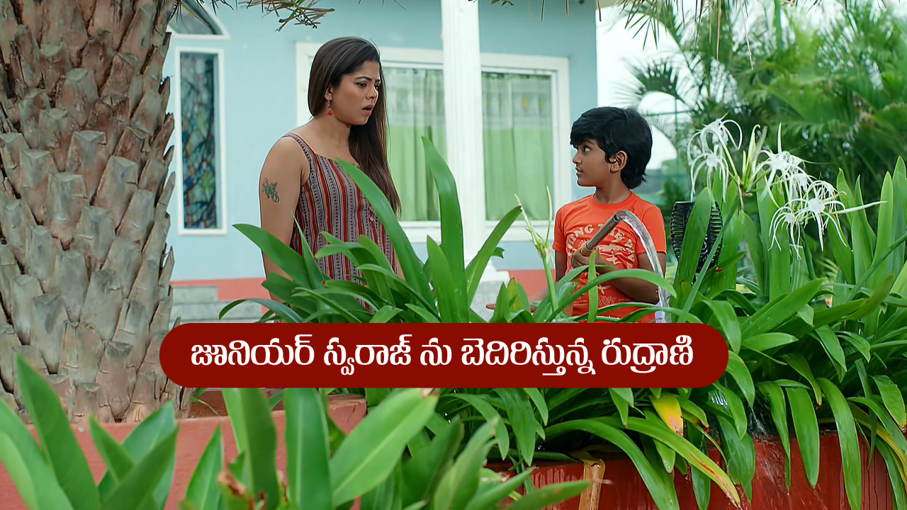 Brahmamudi Serial Today August 1st: ‘బ్రహ్మముడి’ సీరియల్‌: జూనియర్‌ను బెదిరించిన రుద్రాణి – కోపంతో రగిలిపోయిన అపర్ణ