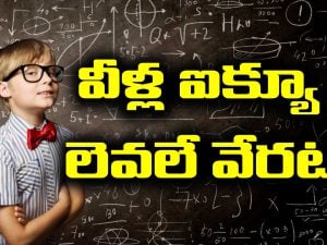 Genius By Birth: అత్యంత తెలివైసిన జాతకులు ఎక్కువగా ఆ రాశుల్లోనే పుడతారట