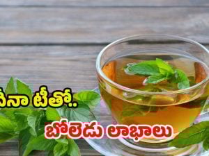 Mint Tea: పుదీనా టీ తాగితే.. నమ్మలేనన్ని ప్రయోజనాలు !