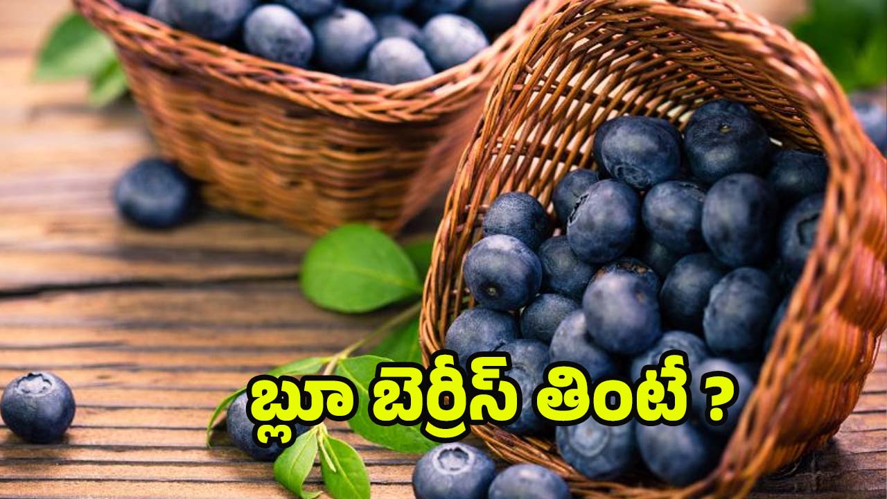 Blueberry Benefits: బ్లూబెర్రీతో షుగర్ కంట్రోల్, హార్ట్ ఎటాక్స్ దూరం.. మరెన్నో ప్రయోజనాలు !
