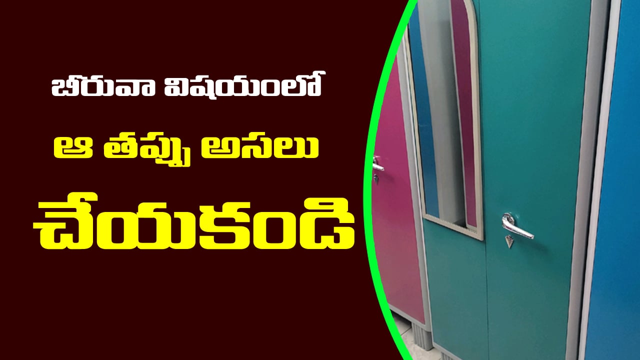 Financial tips: ఇంట్లో బీరువాలో ఈ వస్తువులు పెడితే.. అప్పులు తీరి కోట్లు సంపాదిస్తారట