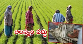 Facts Check: అమ్మాయికి అచ్చుగుద్దినట్లు తండ్రి పోలికలు.. అదెలా సాధ్యం?