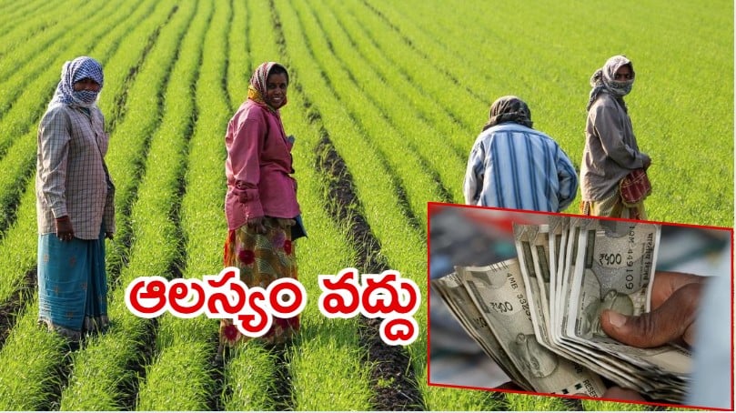 Annadata Sukhibhav Scheme: అన్నదాత సుఖీభవ స్కీమ్.. డబ్బులు జమ కాలేదా? ఇలా చేయండి?